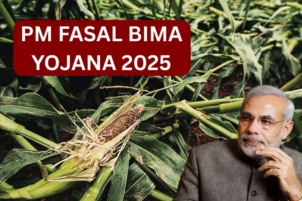 PM Fasal Bima Yojana 2025, Check Application Status, Apply Online